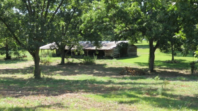 xx Concord Bainbridge Rd, Havana, FL 32333 - photo 1