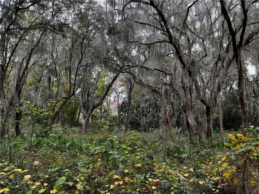 Lot 21 Doboy Ct, Darien, GA 31305 - photo 1