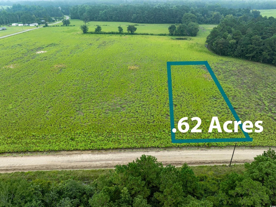 TBD LOT 3 Tansy Rd, Loris, SC 29569 - photo 1