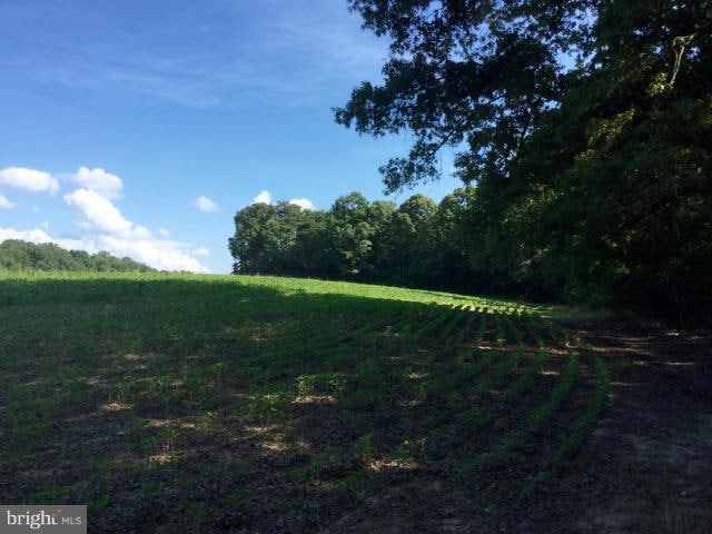 0 Canterbury Loop unit VAKG2007002, King George, VA 22485 - photo 1