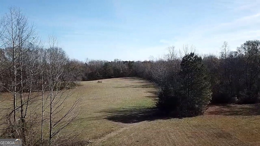 0 Chapman & Hwy 18 Rd unit 20162421, Zebulon, GA 30295 - photo 1