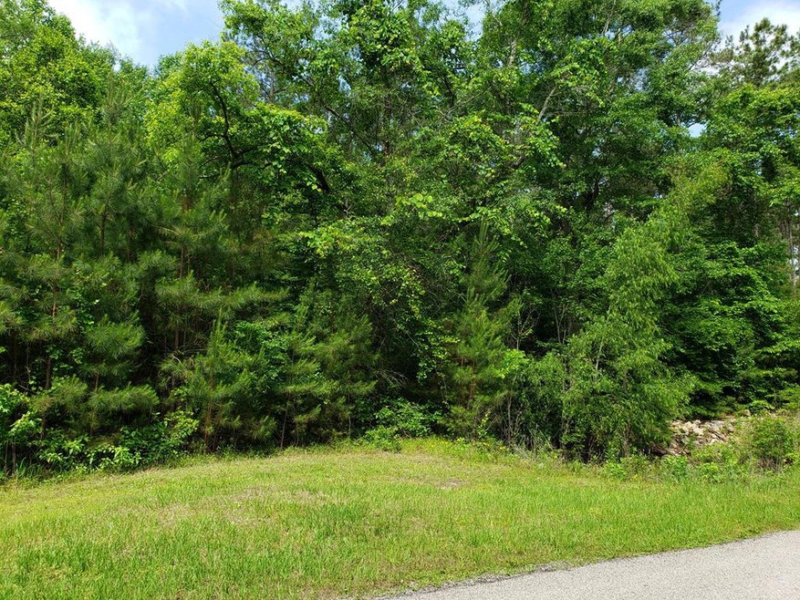 0 Westwood Dr, Lufkin, TX 75904 - photo 1