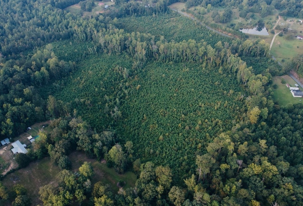 Blizzard Rd, Meridian, MS 39305 - photo 1