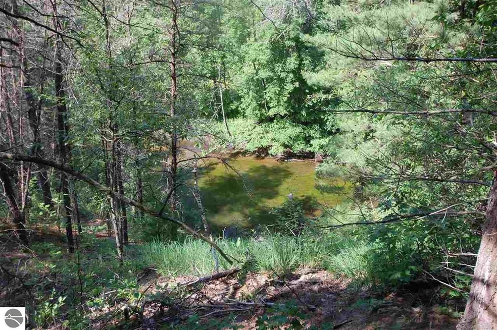 VL Rifle River Trail, West Branch, MI 48661 - photo 1