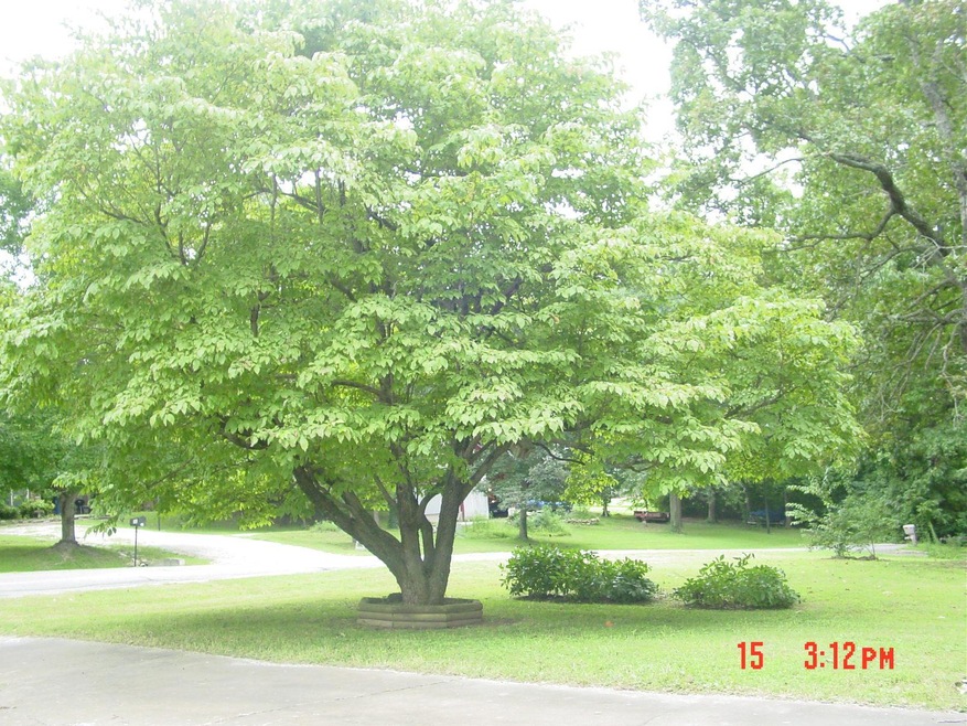 DSC03377