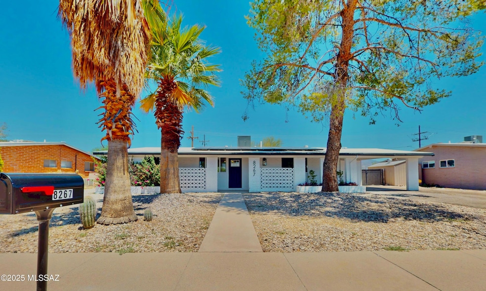 Cooper-Pl-07272025_152637