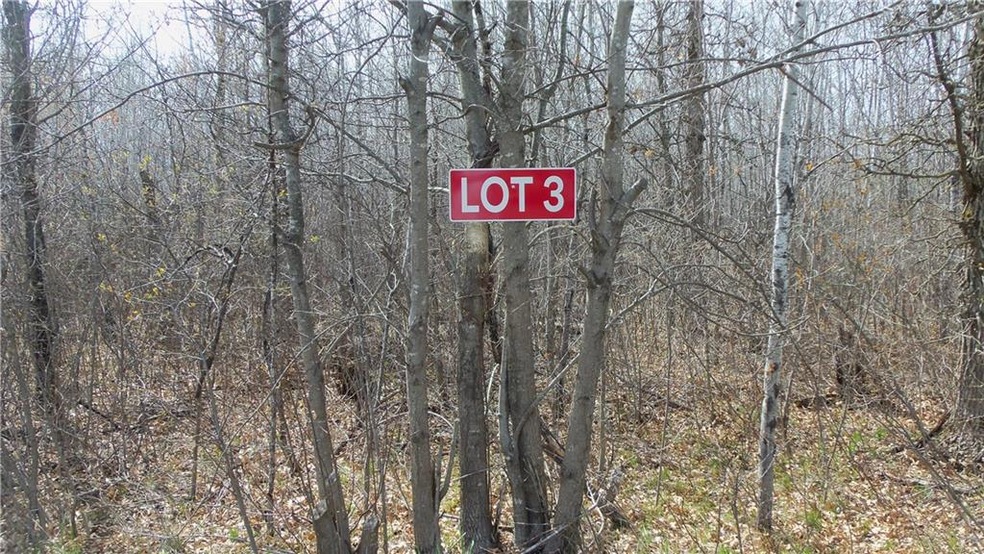 Lot 3 Minerva Dam Rd, Swiss, WI 54830 - photo 1