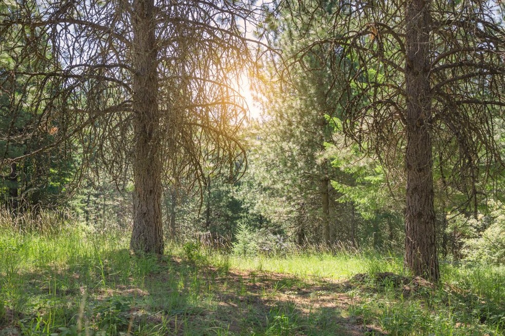 Sold $79,400 • Co-Listing Agent