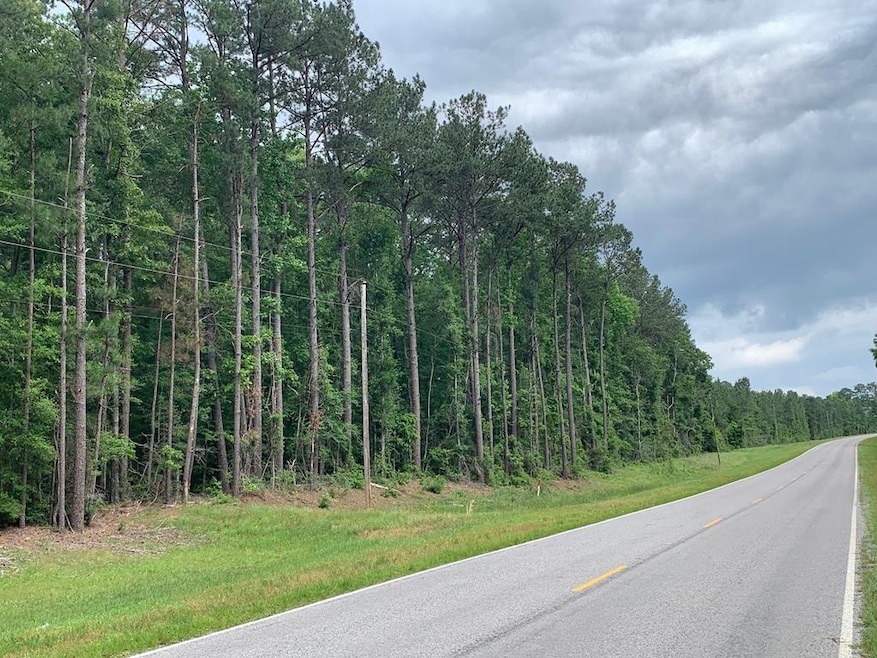 . Fergson Rd Barber Rd Crooked Creek Rd, Silver Creek, MS 39663 - photo 1