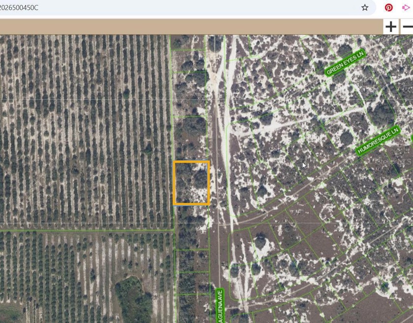 725 Malaguena Ave, Lake Placid, FL 33852 - photo 1