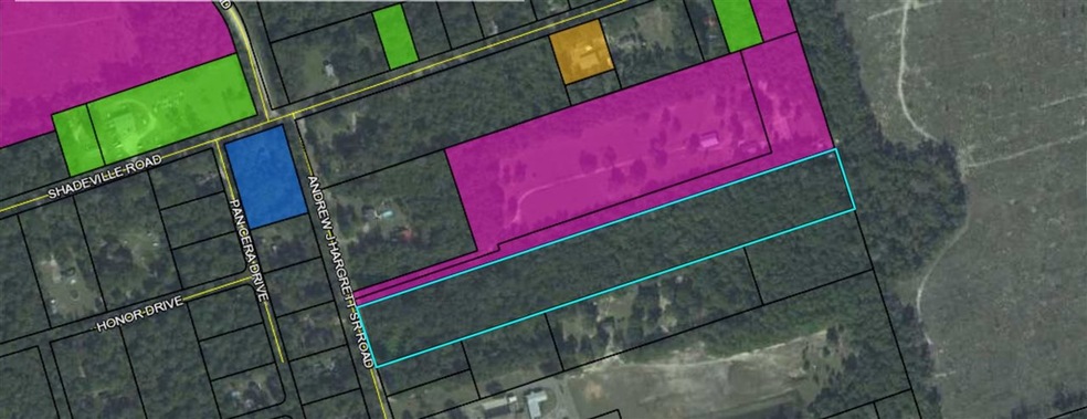 0 Andrew J Hargrett Sr Rd, Crawfordville, FL 32327 - photo 1