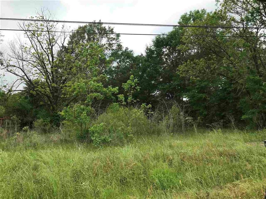 3002 Buchanan Rd, Texarkana, TX 75501 - photo 1