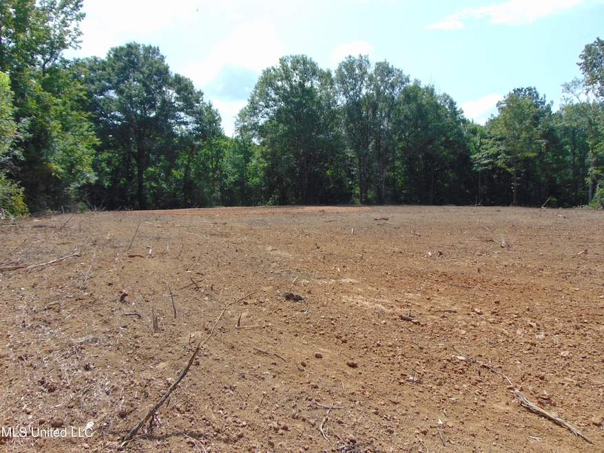 1015 Tarver Ln, Wesson, MS 39191 - photo 1