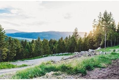 1003 Springhill Rd, Kila, MT 59920 - photo 1