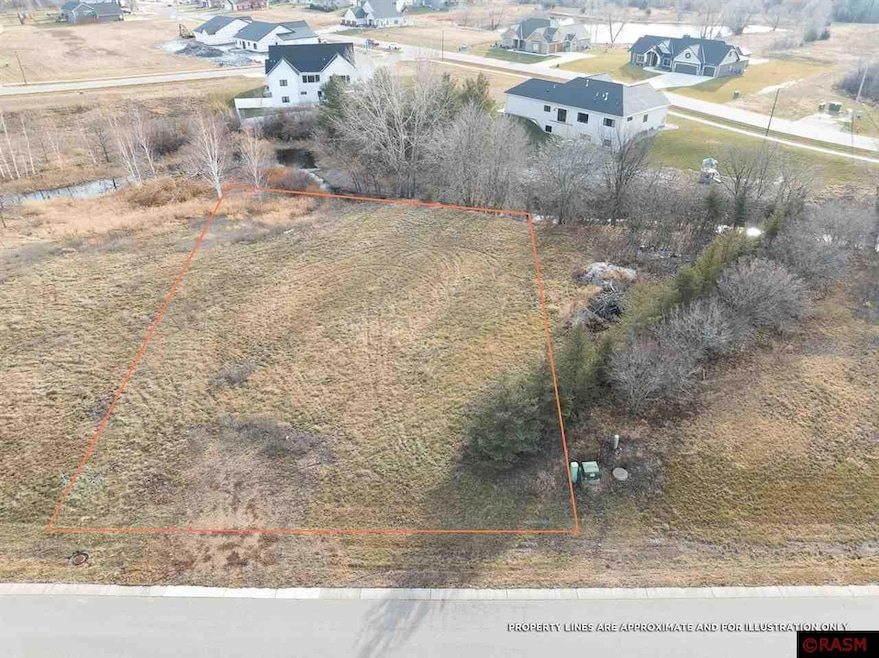 0 Pine Creek Rd, Mankato, MN 56001 - photo 1