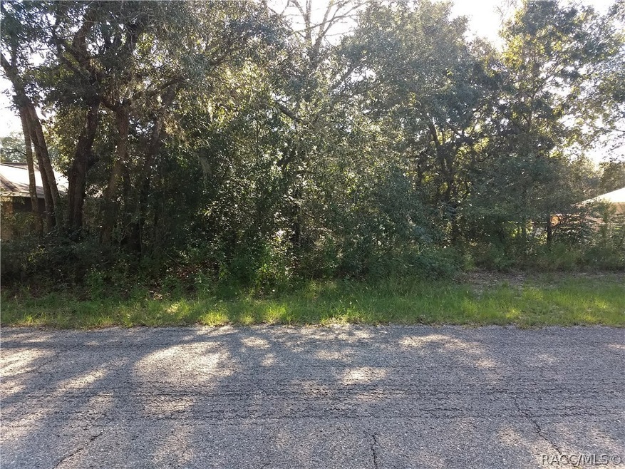 Front of lot