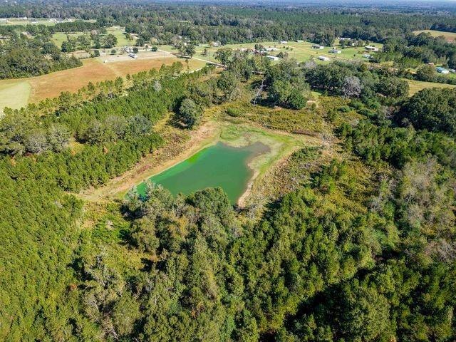 0 Simmons Rd, Franklinton, LA 70438 - photo 1