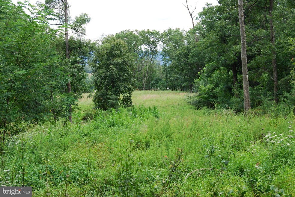 0 Apple Harvest Dr unit WVBE2021352, Cherry Run, WV 25427 - photo 1