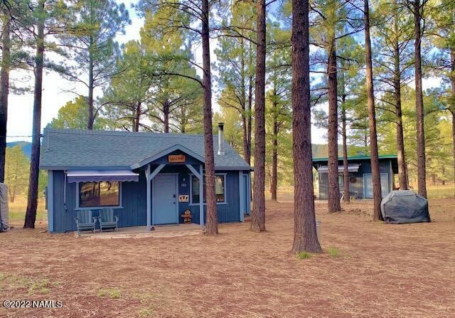 Cabin and Studio