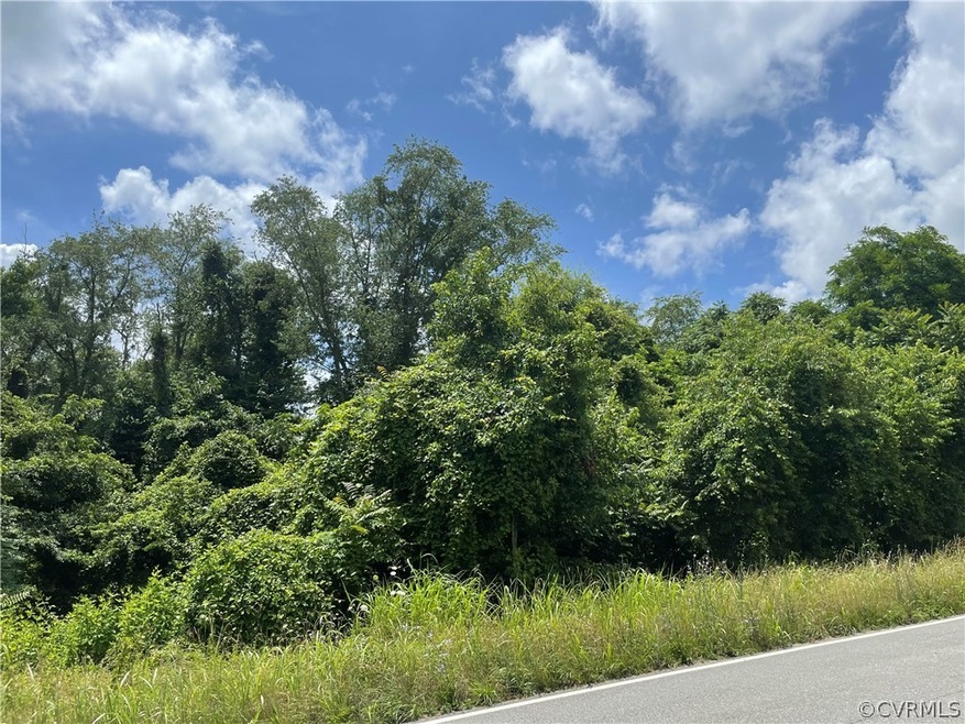 Wooded Lot
