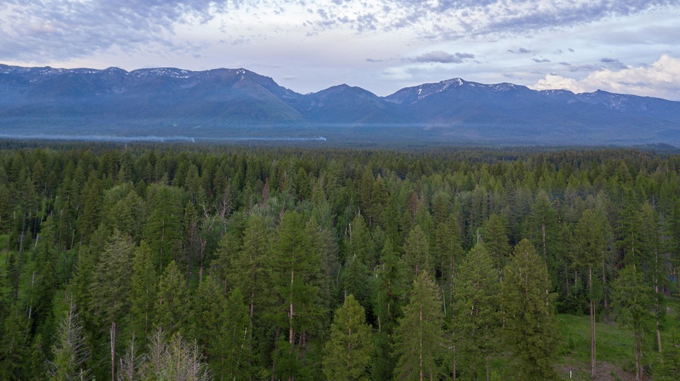 30632 Carney Creek Rd, Big Fork, MT 59911 - photo 1