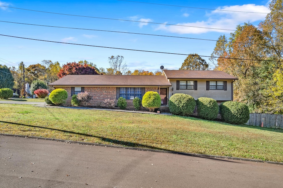 113 County Rd 569-28