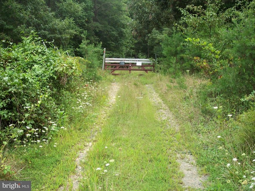 7413 Rosita Ct, Manassas, VA 20112 - photo 1