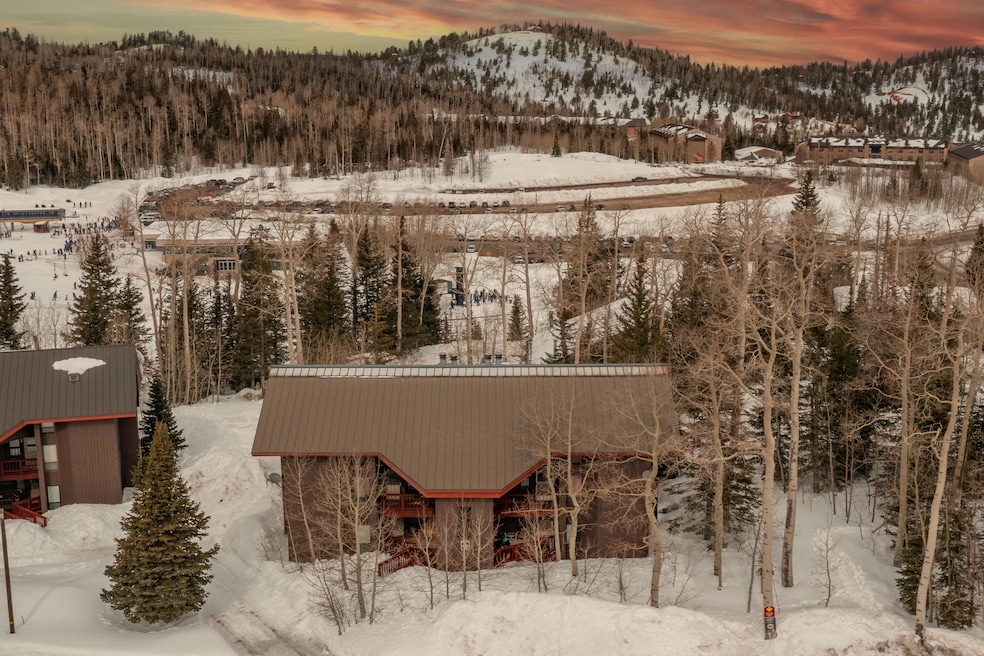 DJI_0639 copy
