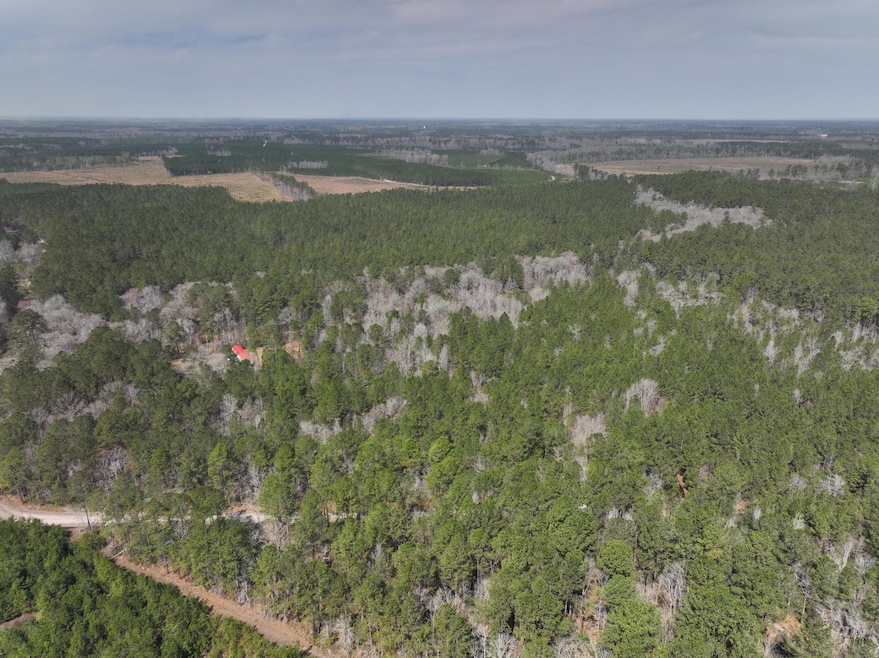 DJI_20250313124035_0011_D_400NW