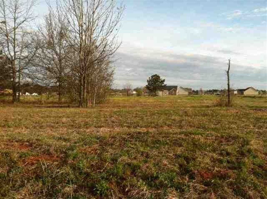 300 Nile Ln, Byron, GA 31008 - photo 1