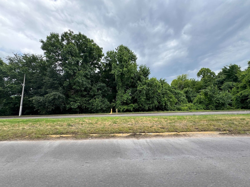 View of asphalt street with a view of trees