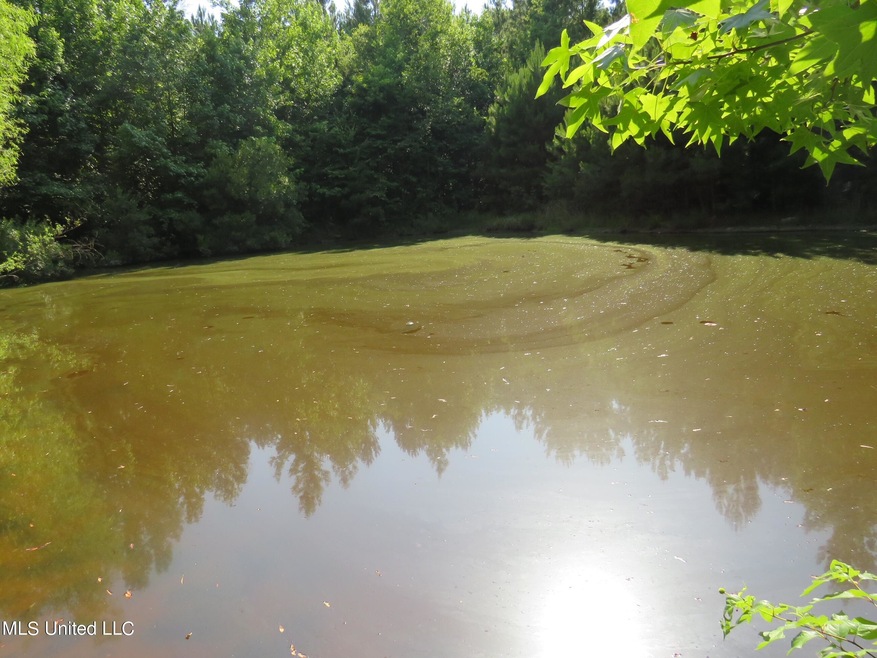 pond