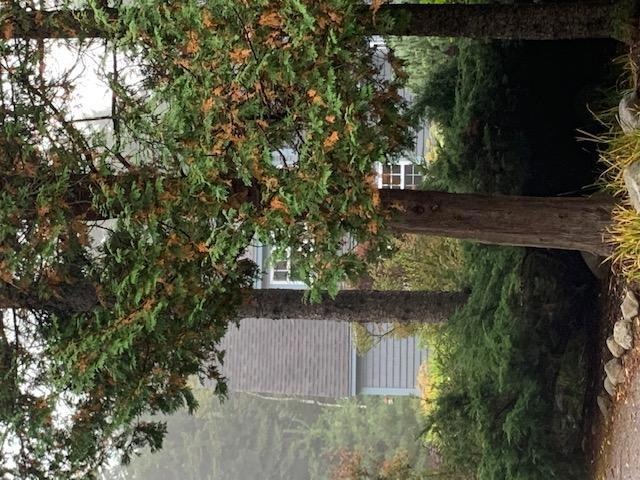 home photo 1