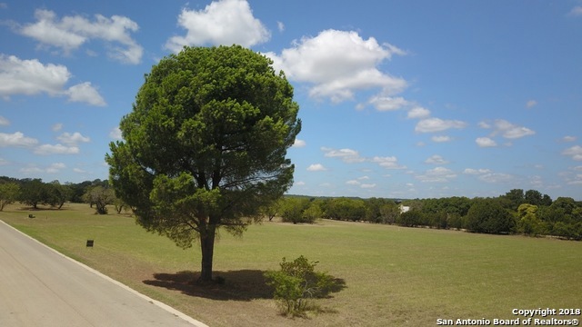 L1-2 Old Vine, Fredericksburg, TX 78624 - photo 1