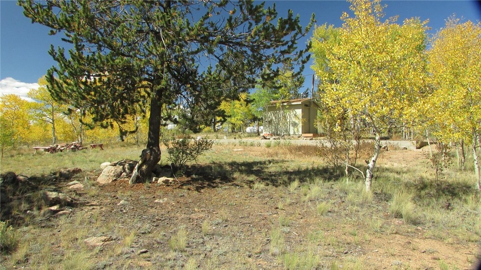 1044 Buffalo Ridge Rd, Como, CO 80432 - photo 1