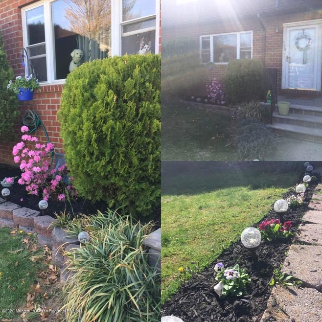 front yard