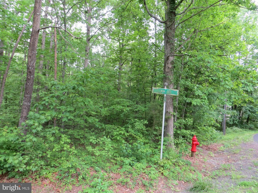 100 Ash Ct, Locust Grove, VA 22508 - photo 1