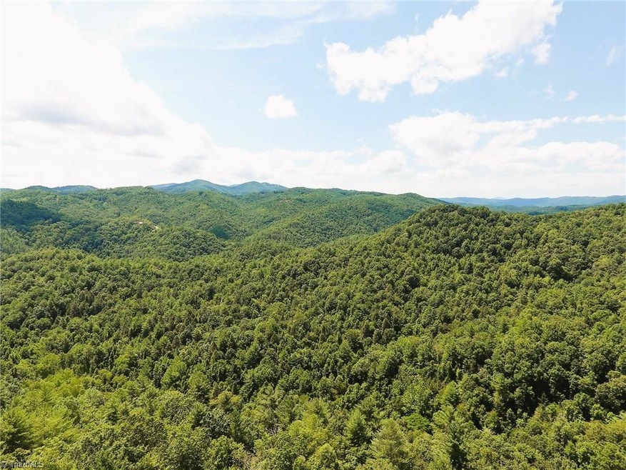 795 Wagon Ridge Ln, Ferguson, NC 28624 - photo 1