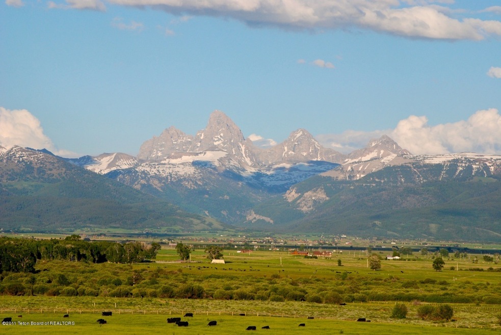 Packsaddle Ranch