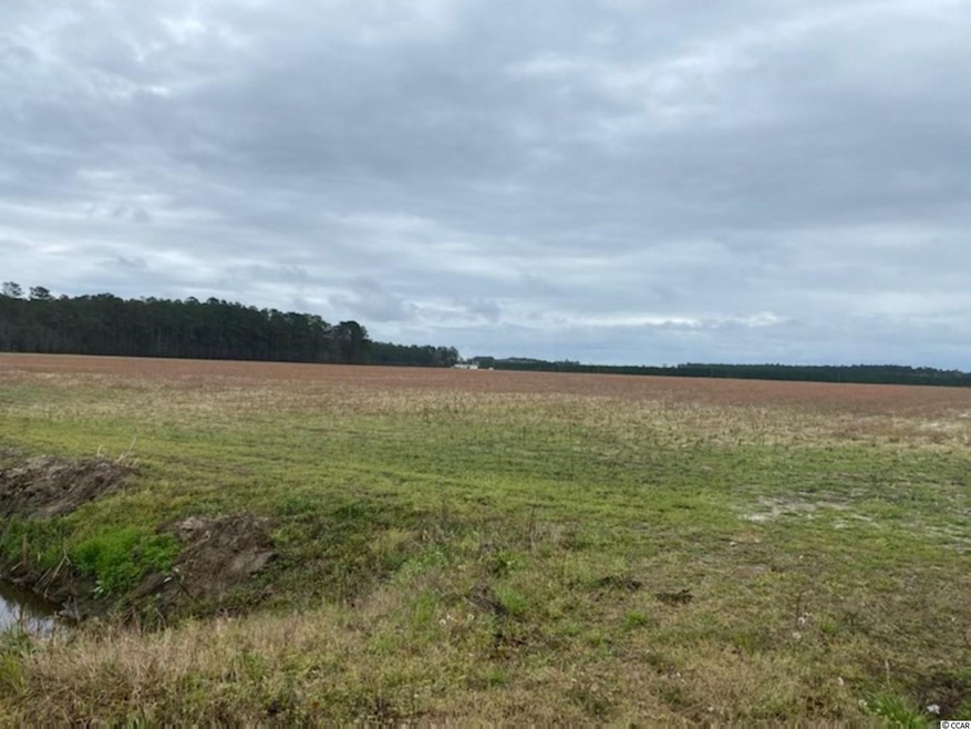 TBD Persimmon Rd unit Lot 7, Aynor, SC 29511 - photo 1