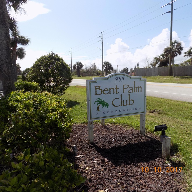 The Bent Palm Club