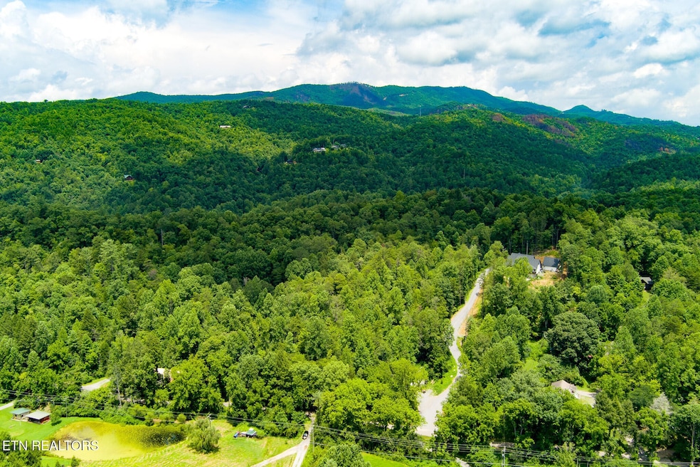 424 Tunis Rd, Pittman Center, TN 37876 - photo 1