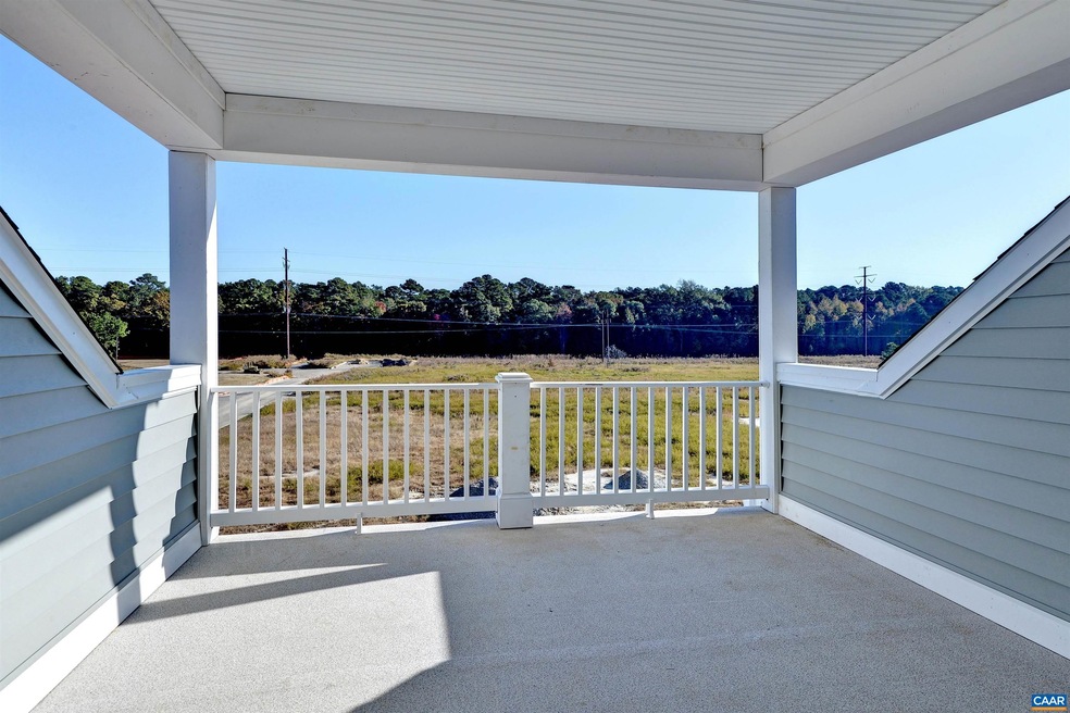 6007 Vera Rubin Place, Charlottesville, VA 22902 - photo 1