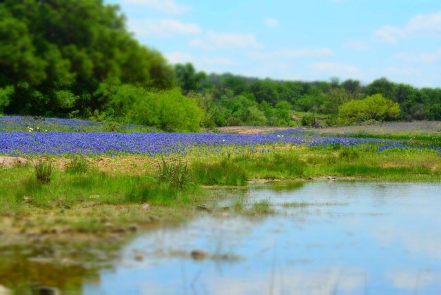 6741 Willow City Loop, Fredericksburg, TX 78624 - photo 1