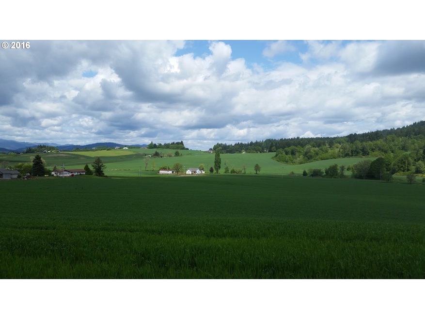 0 SW Nelson Dr unit 5 15691743, Gaston, OR 97119 - photo 1