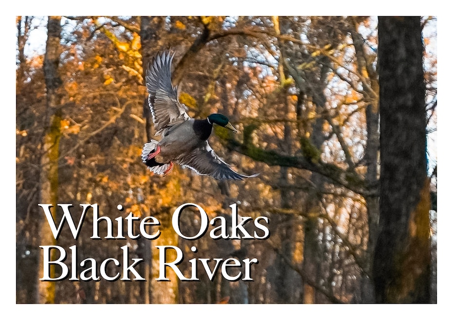 4297 U S 62, Corning, AR 72422 - photo 1