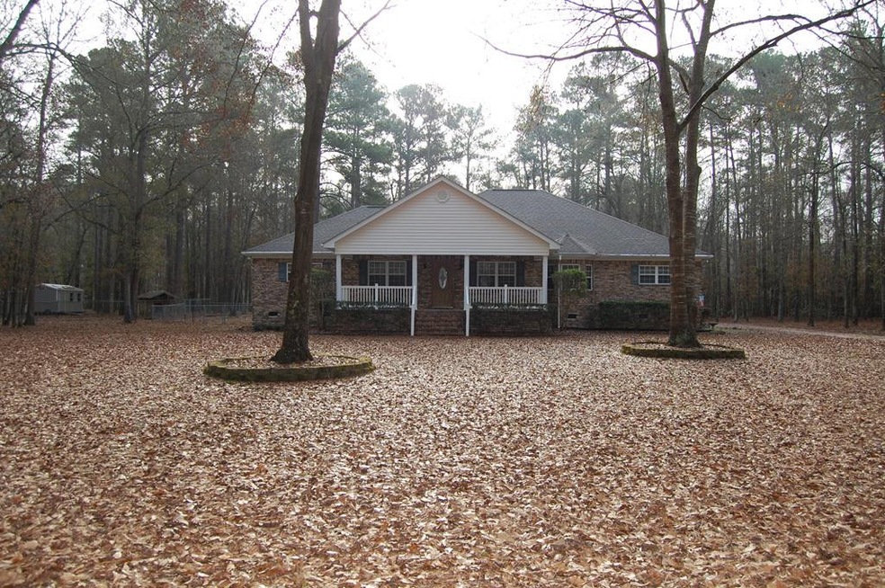 Main View