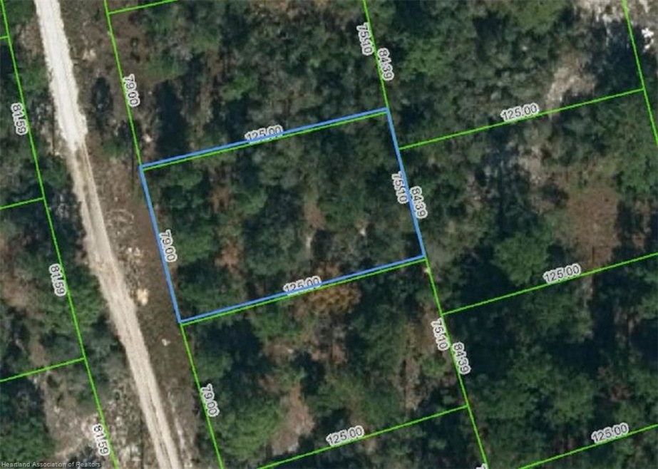 215 Fascination Dr, Lake Placid, FL 33852 - photo 1