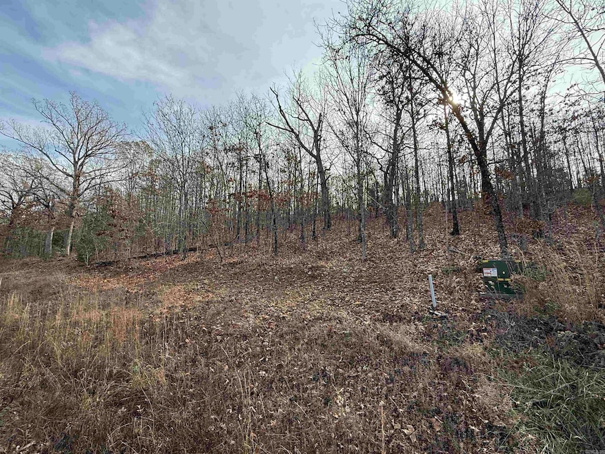 Tract 91 Vernon Ct, Austin, AR 72007 - photo 1