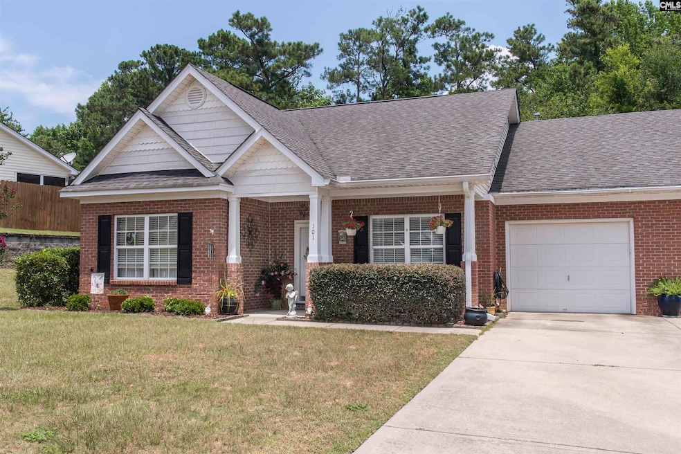 101 Abbie Ct, Lexington, SC 29072 - photo 1